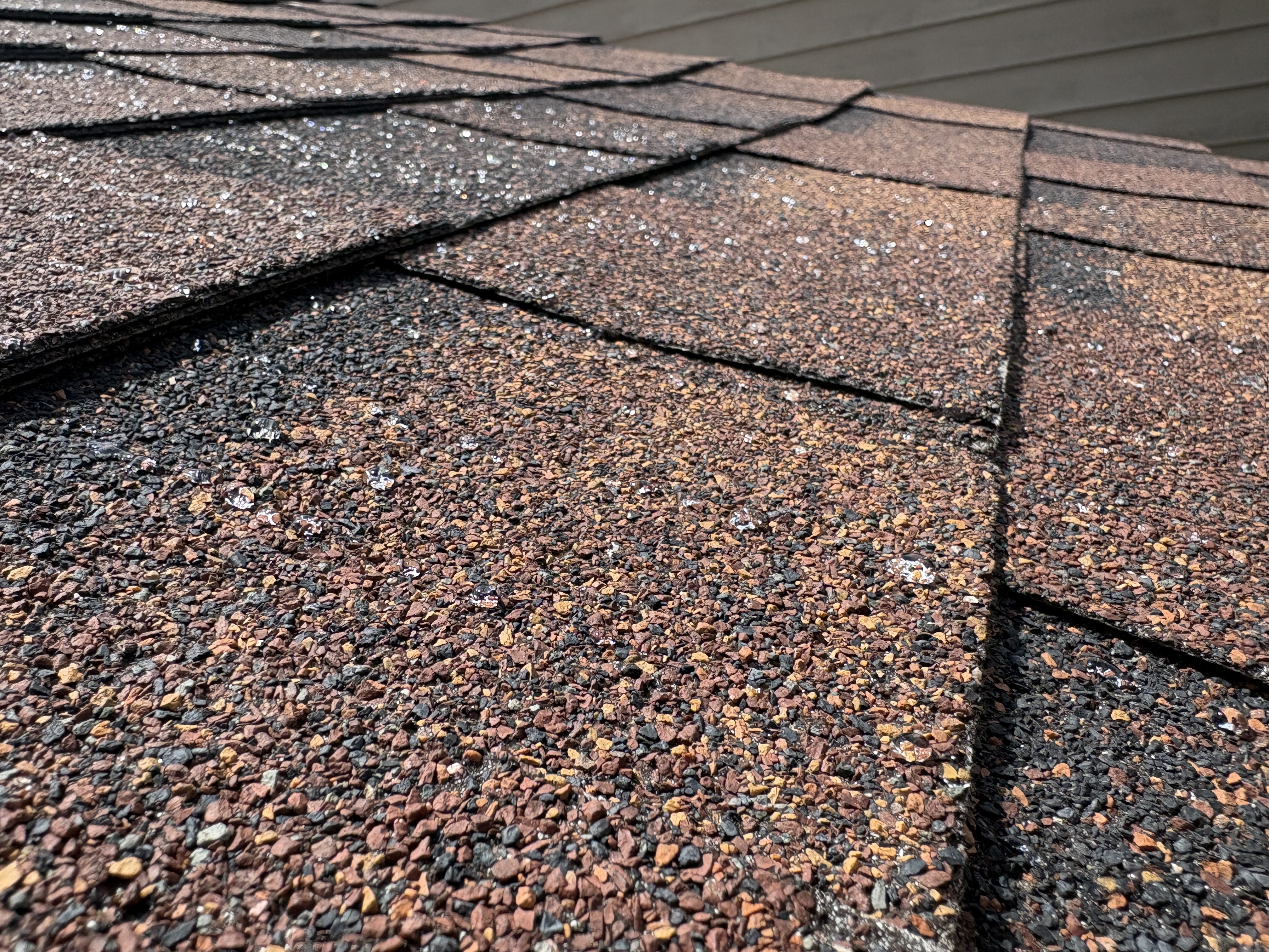 Asphalt shingle roof with protective coating